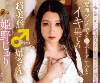 骑兵破解TIMD-021 ～極太ディルド・尿道バイブ・トンネルプラグ・大量オモラシ～変態プレイでチ●ポもアナルもイキ果てる超美形♂（オトコ）姉さん 姫野じ