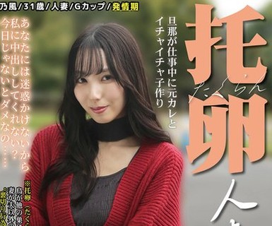 骑兵破解MIST-500 托卵人妻 ～旦那より先に元カレの子供を妊娠したい～ 藤川乃風