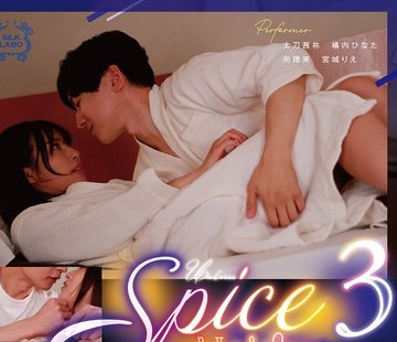 骑兵破解SILK-200 Spice→Moisture 3